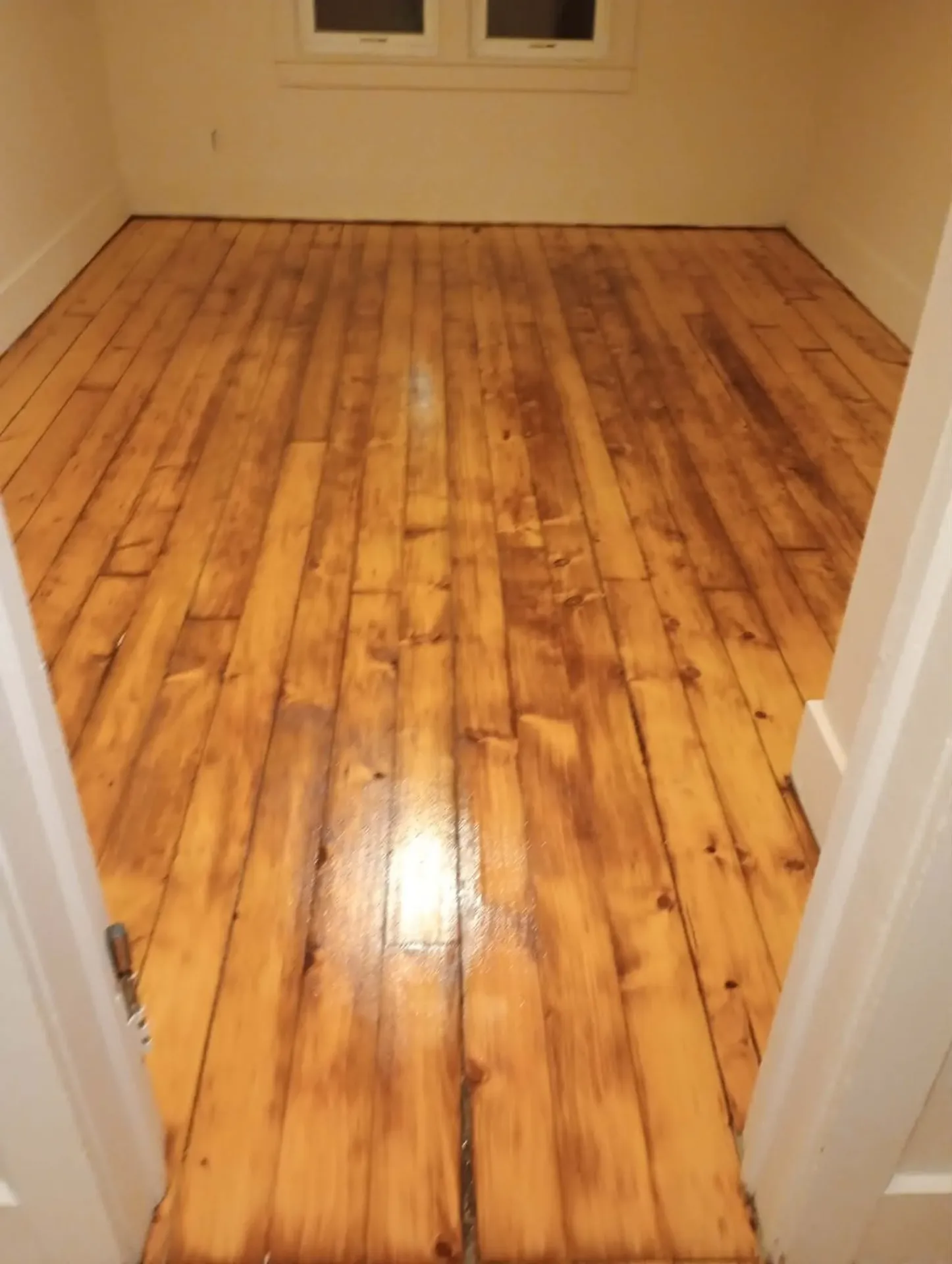 Refinished wide-plank pine floor with a warm amber finish in a small room with white trim